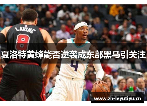 夏洛特黄蜂能否逆袭成东部黑马引关注 夏洛特黄蜂能否逆袭成东部黑马引关注