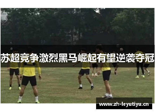 苏超竞争激烈黑马崛起有望逆袭夺冠 苏超竞争激烈黑马崛起有望逆袭夺冠